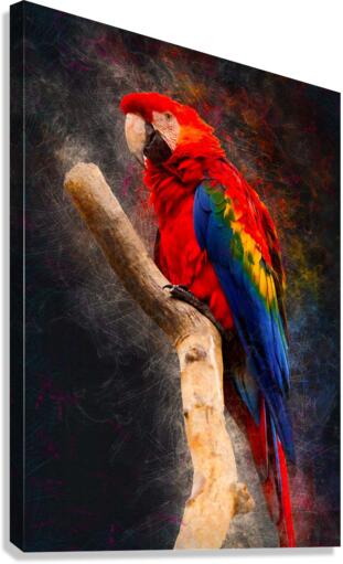 3709 Canvas Print