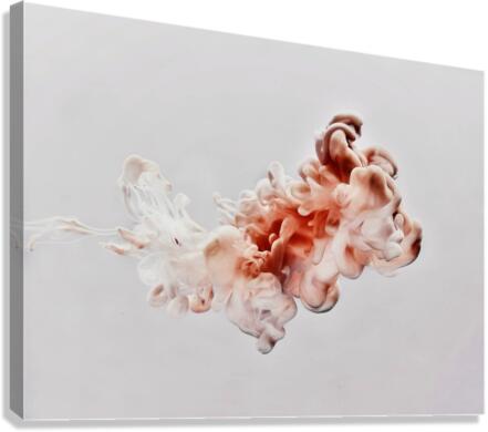 3711 Canvas Print