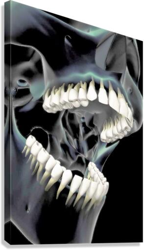 3719 Canvas Print