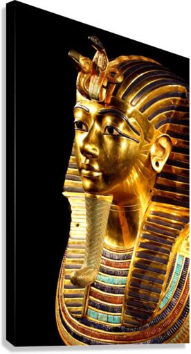 3720 Canvas Print