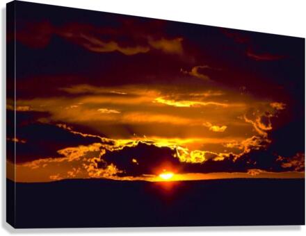 3723 Canvas Print