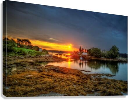 3729 Canvas Print