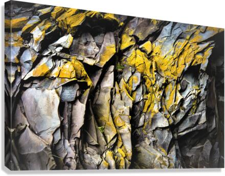 3740 Canvas Print