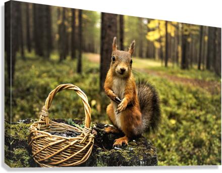 3744 Canvas Print