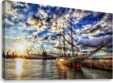 3747 Canvas Print