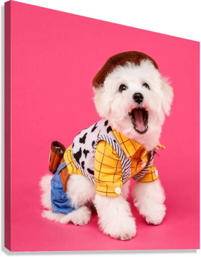 3750 Canvas Print
