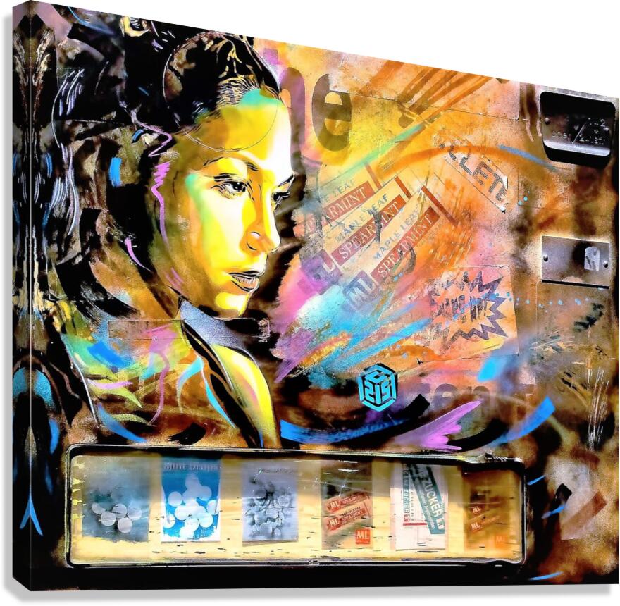 3751 Canvas Print