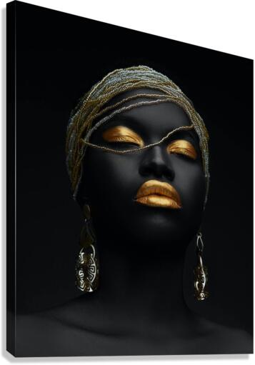 3753 Canvas Print