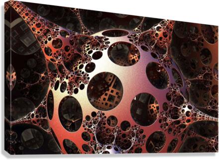 3755 Canvas Print