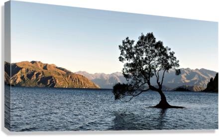 3757 Canvas Print
