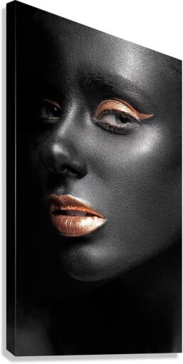 3759 Canvas Print