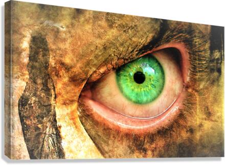 3762 Canvas Print