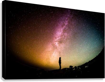 3763 Canvas Print