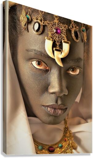 3764 Canvas Print