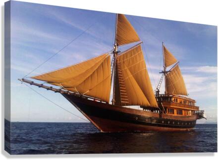 3774 Canvas Print