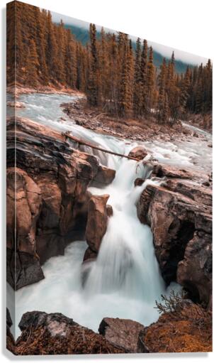 3777 Canvas Print