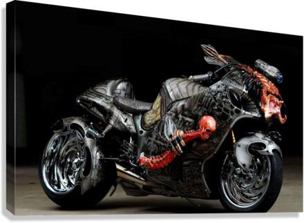 3778 Canvas Print