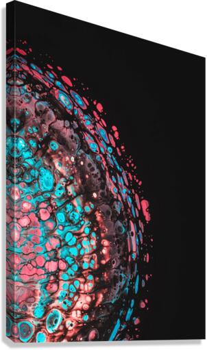 3790 Canvas Print