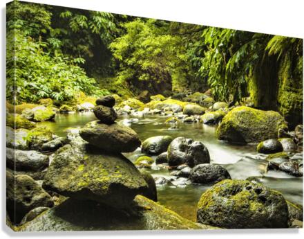 3792 Canvas Print