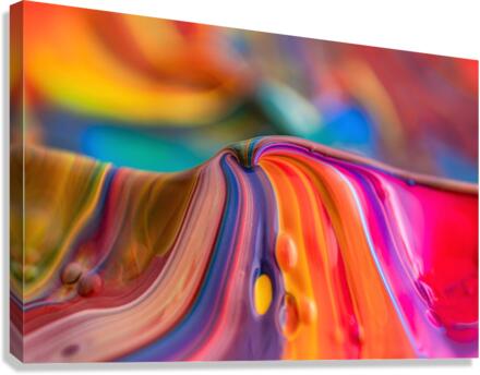 3796 Canvas Print