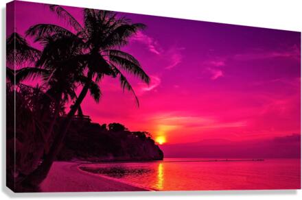3798 Canvas Print