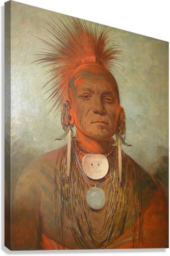 3800 Canvas Print