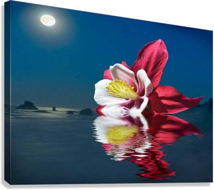 3811 Canvas Print