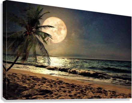 3820 Canvas Print