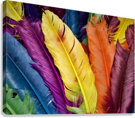 3822 Canvas Print
