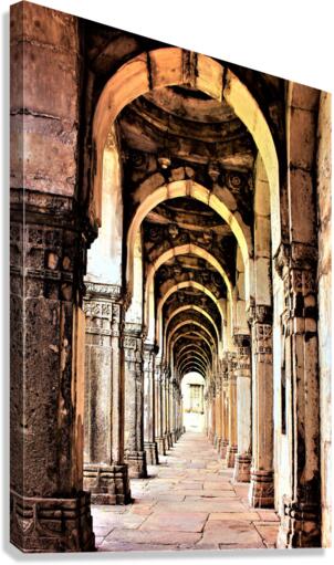 3823 Canvas Print