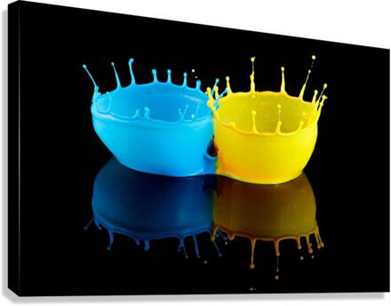 3828 Canvas Print