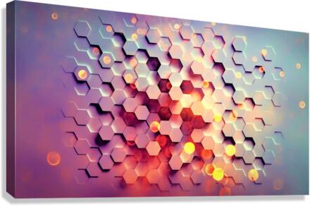 3835 Canvas Print
