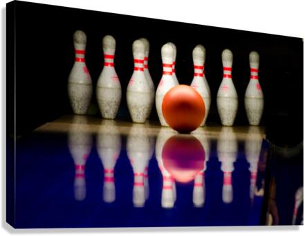 3847 Canvas Print