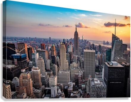 3853 Canvas Print
