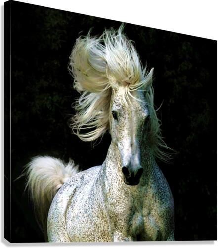 3871 Canvas Print