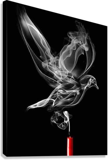 3873 Canvas Print