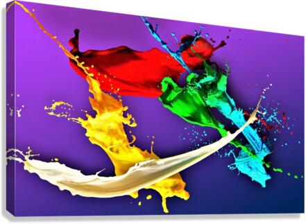 3876 Canvas Print