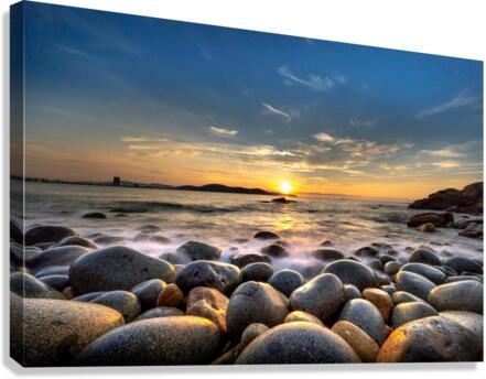 3885 Canvas Print