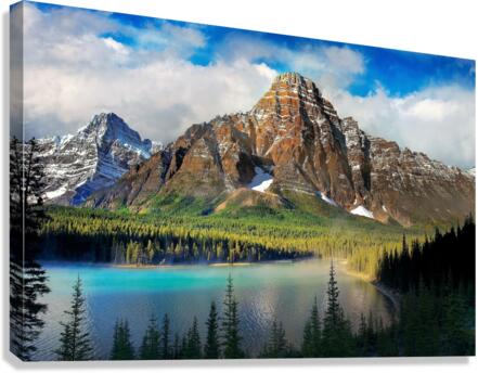 3888 Canvas Print