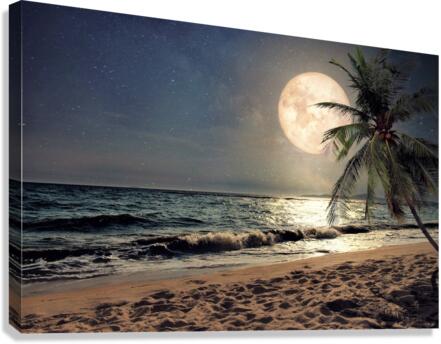 3925 Canvas Print