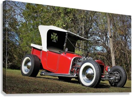 3930 Canvas Print