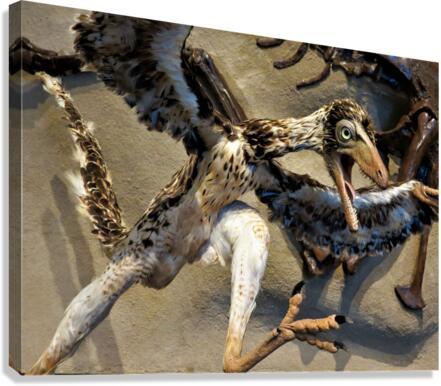 3935 Canvas Print