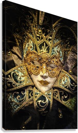 3938 Canvas Print
