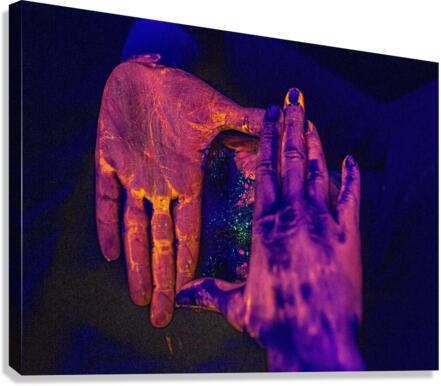 3954 Canvas Print