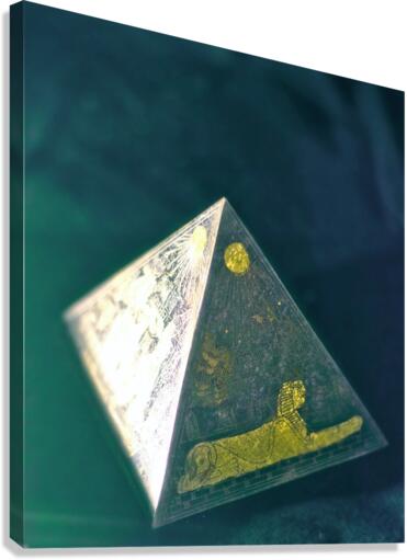 3955 Canvas Print