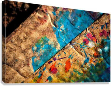 3988 Canvas Print