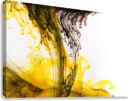 3989 Canvas Print
