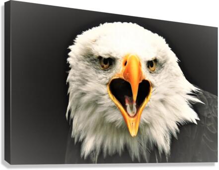 3994 Canvas Print