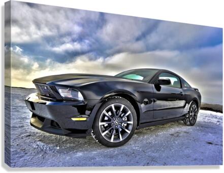 3995 Canvas Print