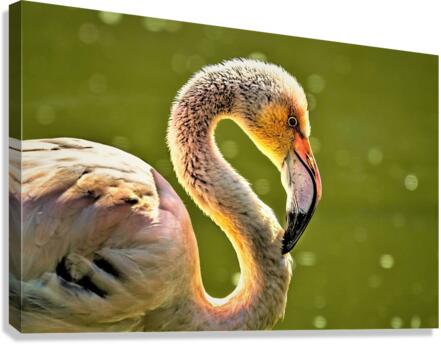 3999 Canvas Print
